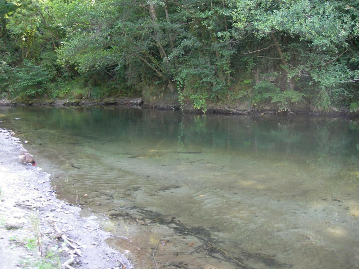 Appartement Les Rives De L'Ariege Luzenac Екстериор снимка